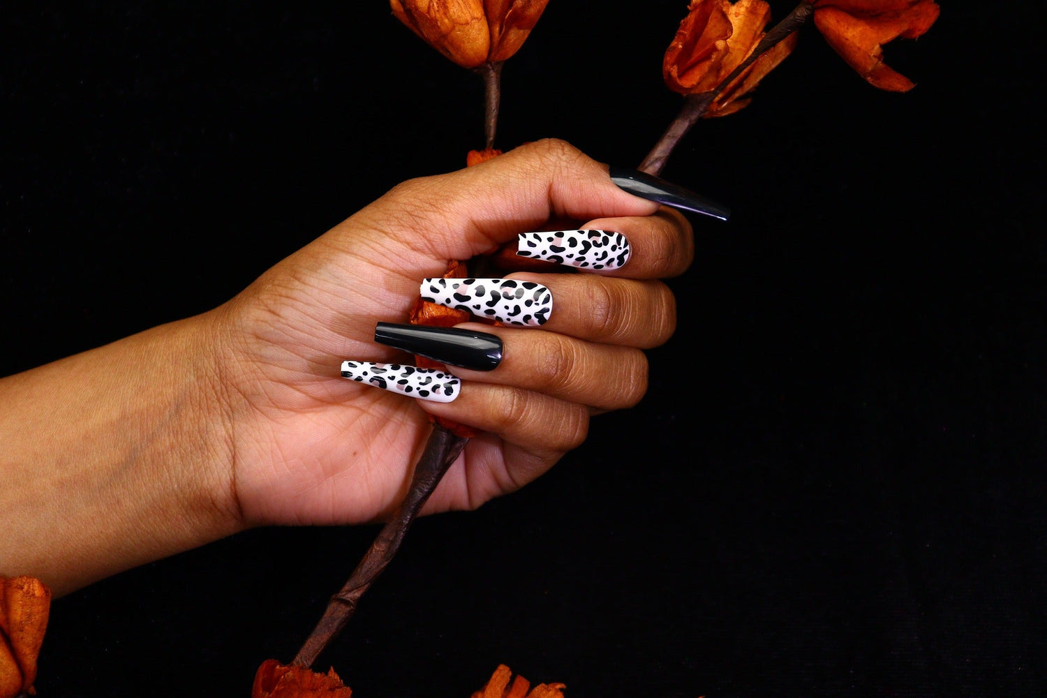 A Buyers Guide to Acrylic Nail Powder