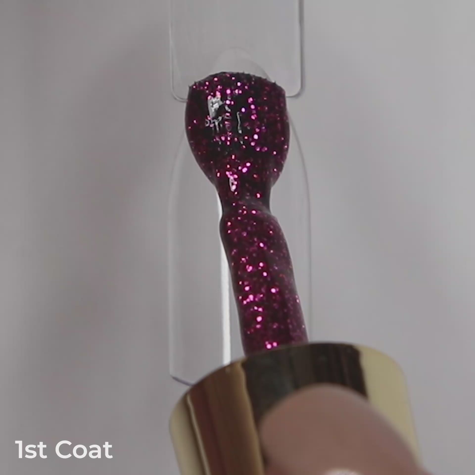 Load video: Back To The Fuchsia