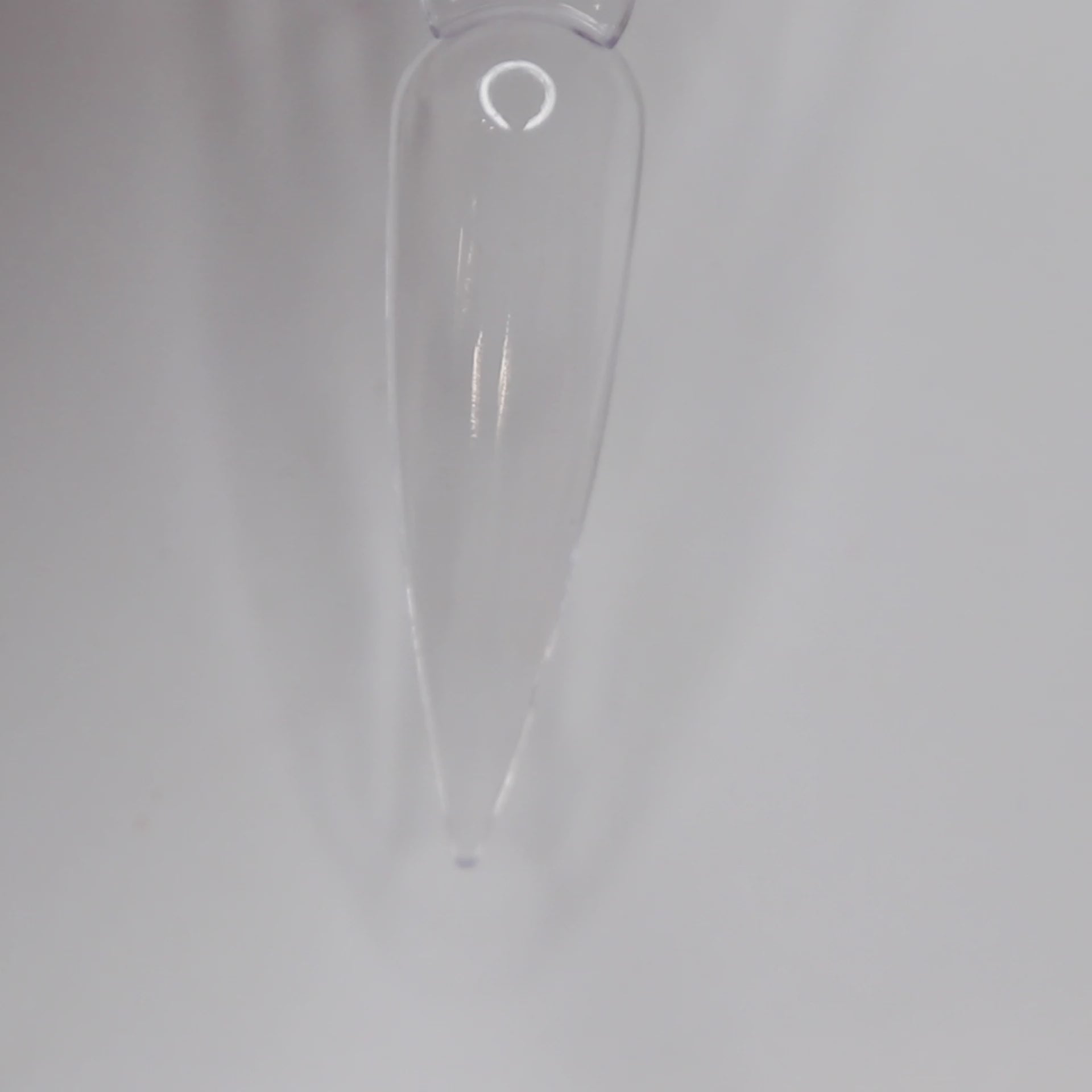 Load video: Bottle Nose