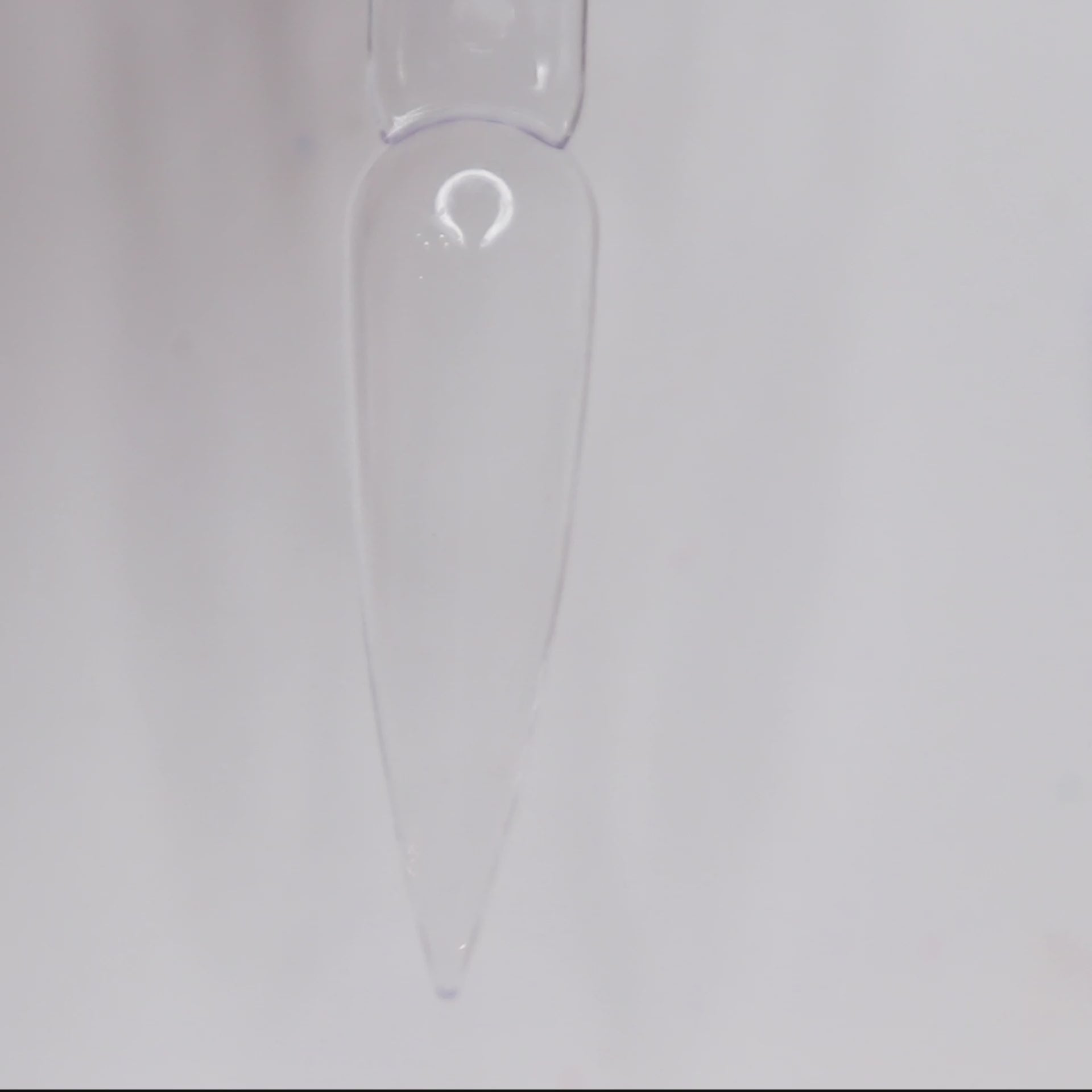 Load video: Parma Violet